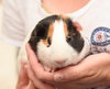Gunther