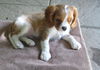 Charlie