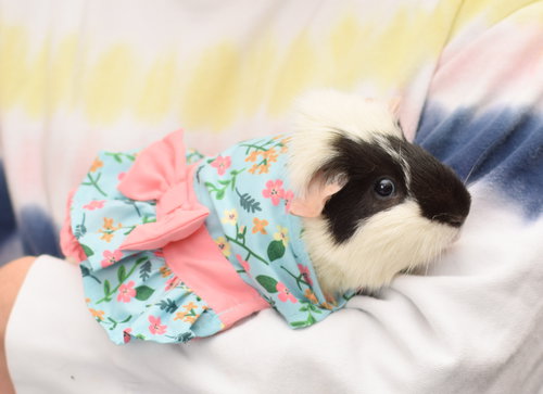 Minnie