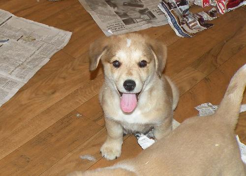 Murphy