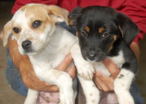Jenny and Janey
