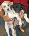 Jenny and Janey