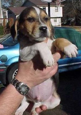 Jethro
