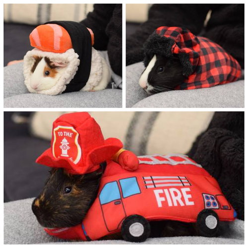 Alvin, Simon & Theodore