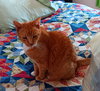 Tigger