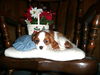 Charles