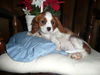 Charles
