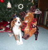 Charles