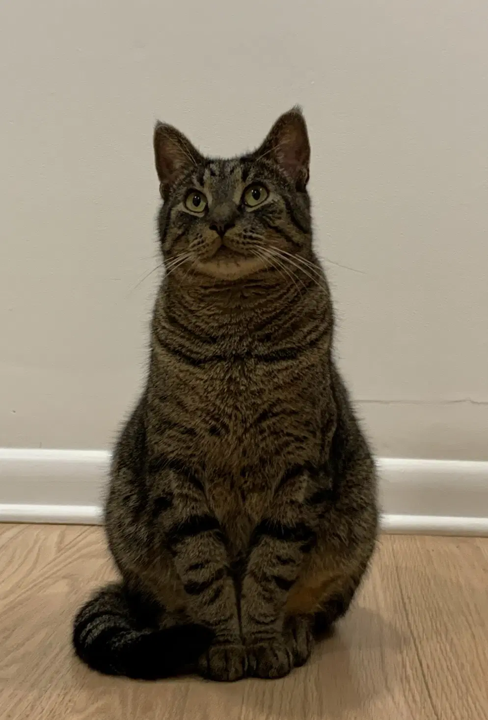 Luca image 2