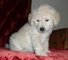 Doug