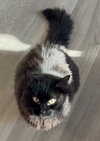 Hera - SUPER FRIENDLY!