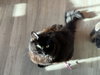 Hera - SUPER FRIENDLY!