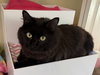 Hera - SUPER FRIENDLY!