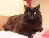 Hera - SUPER FRIENDLY!
