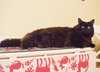 Hera - SUPER FRIENDLY!