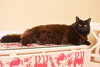 Hera - SUPER FRIENDLY!