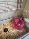 Rosa and Emerald