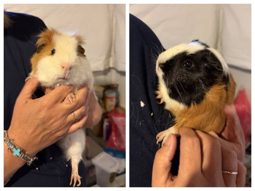 Winston and Charlie