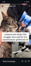 Squish and Honey