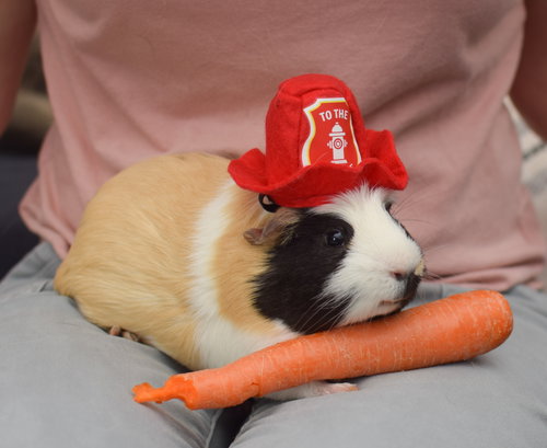 Murray photo 4