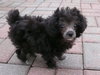 Bitsy