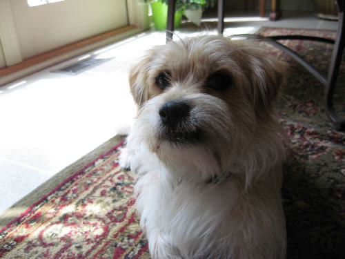 Charlie