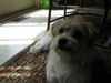 Charlie