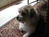 Charlie