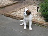 Fred