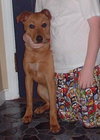 Buddy