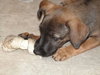 Buster