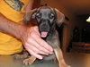 Buster