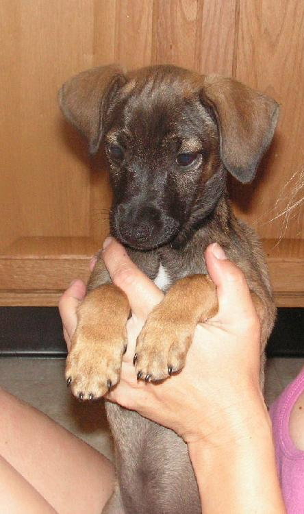 Buster