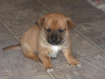 Buster