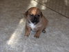 Buster