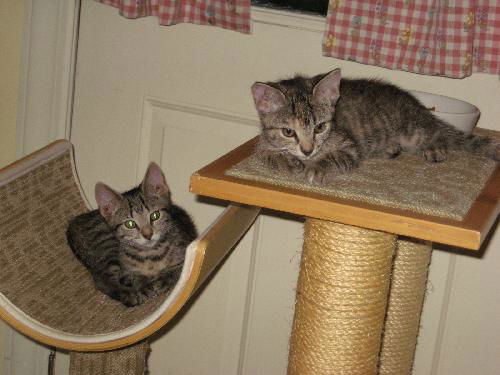 Sal and Sophie