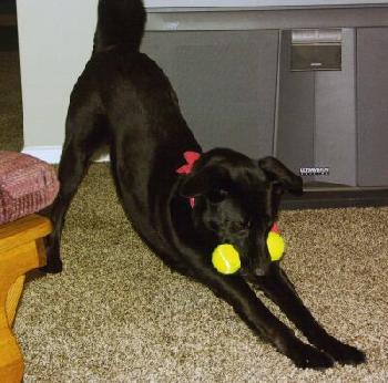 Max