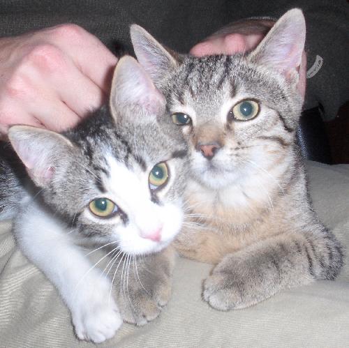 Poptart and Heidi