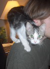 Poptart and Heidi