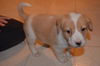 Charlie