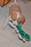 Charlie