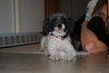 Annie
