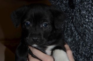 Lucy
