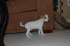 Truman