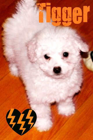 Tigger