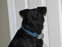 Maggie