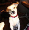 Molly