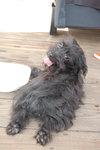Bobby