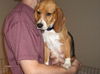 Kaylee (NS)