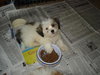Frodo